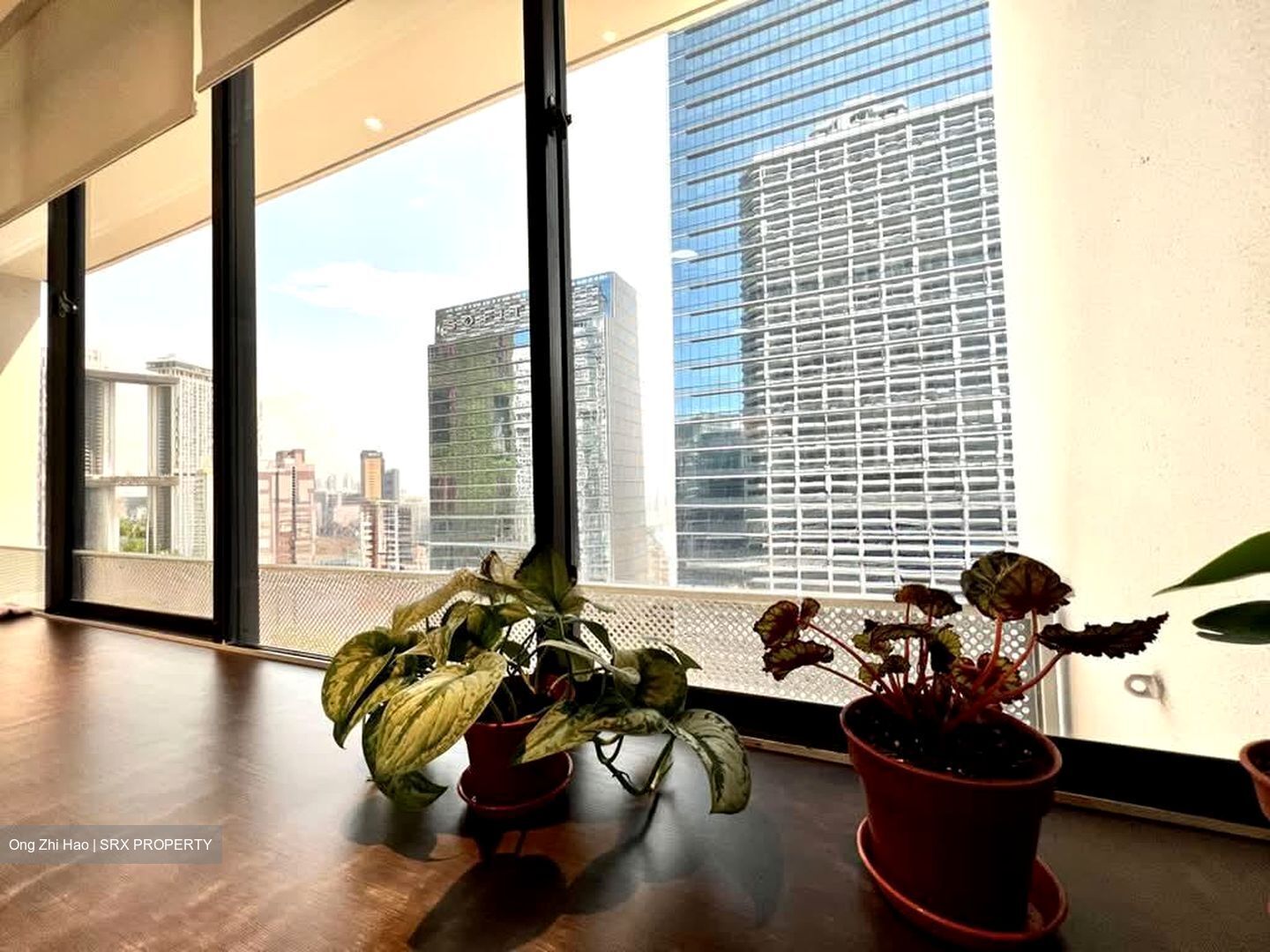International Plaza (D2), Office #570927461